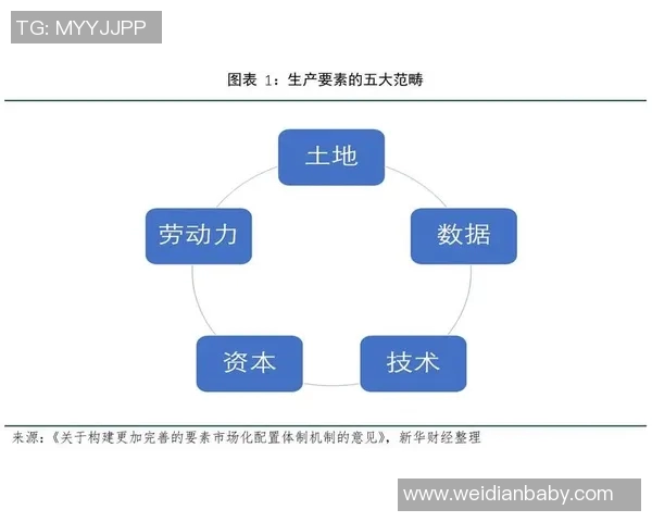 新型比赛规则解析：创新设计与公平竞争的完美结合