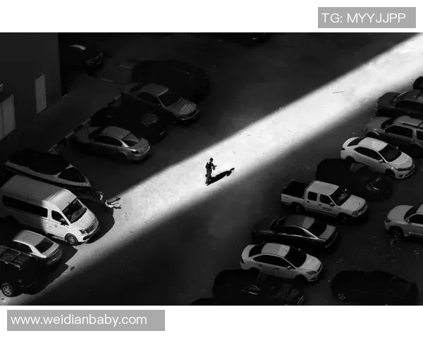 探索光影之美：写真摄影艺术的魅力与创作技巧分析