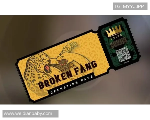 WE战队在CSGO比赛中的盯防策略分析与成效评估